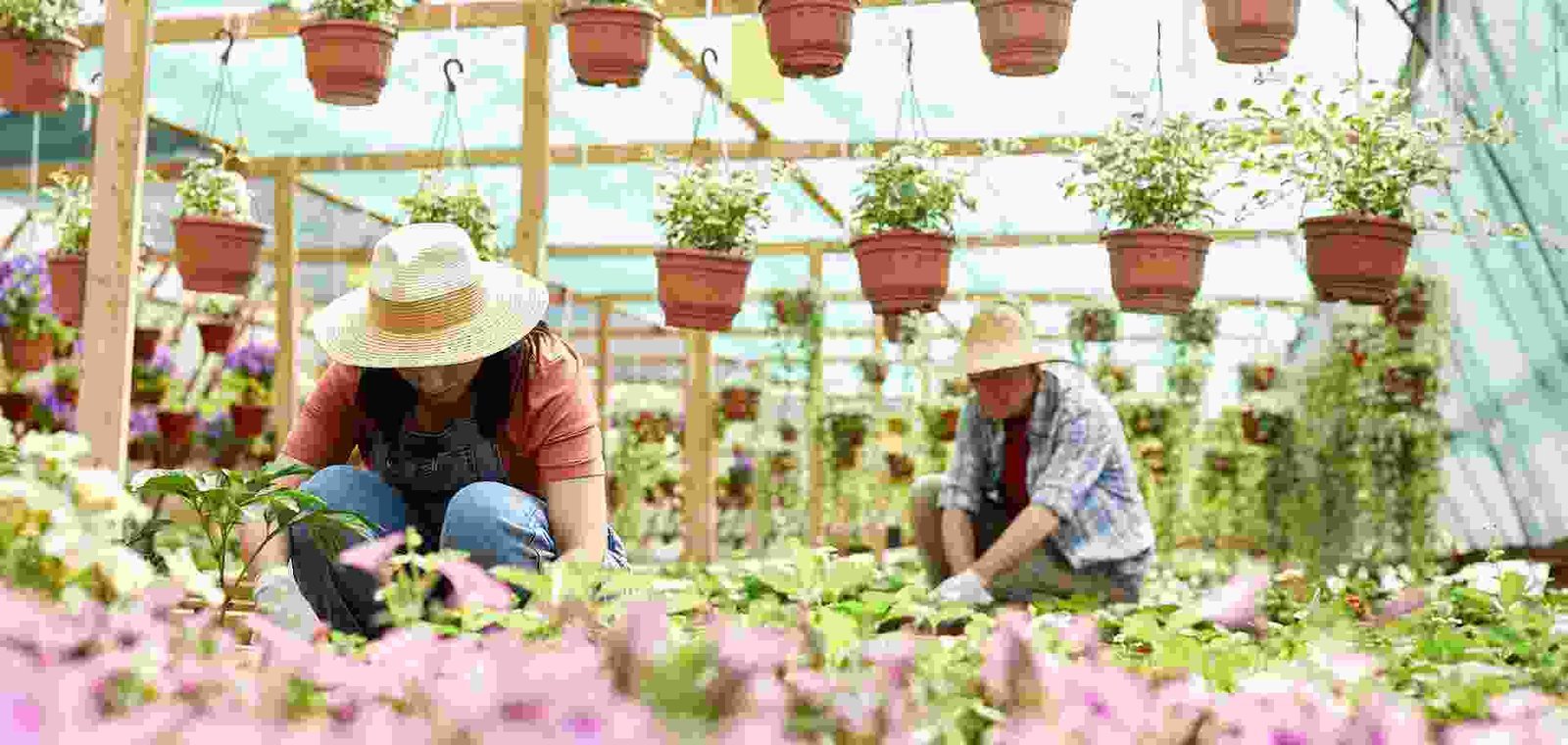 Tips To Keep Your Garden Pest-Free
