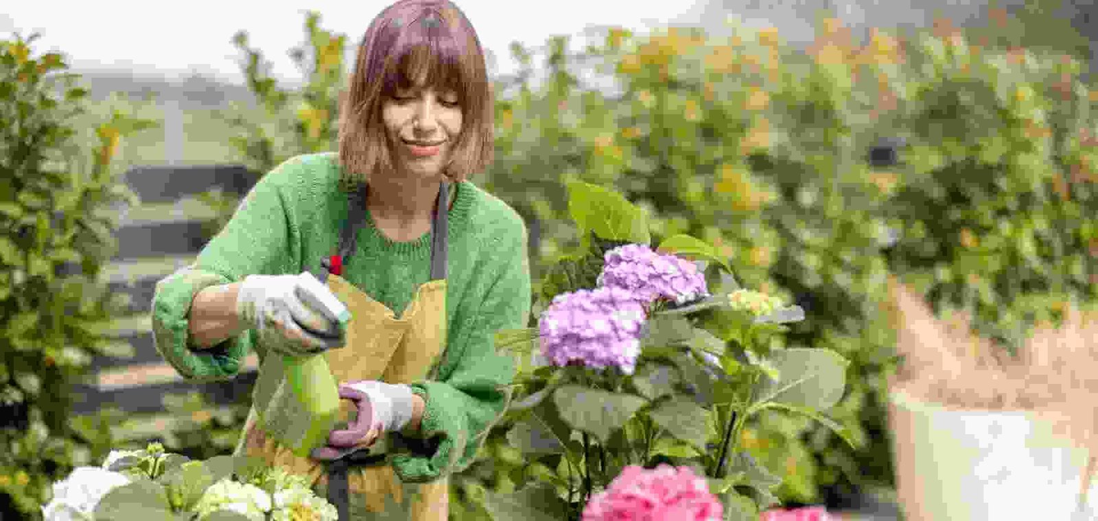 Maintain Plants In Cold Climates