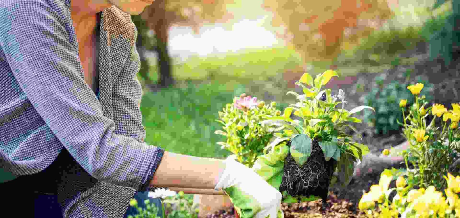 Why Crop Rotation Is Important?