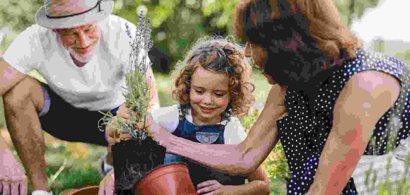 The Future Of Soil-Free Gardening
